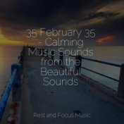 35 February 35 - Calming Music Sounds from the Beautiful Sounds