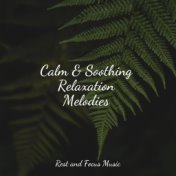 Calm & Soothing Relaxation Melodies