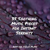 35 Soothing Music Pieces for Instant Serenity