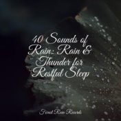 40 Sounds of Rain: Rain & Thunder for Restful Sleep