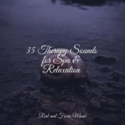 35 Therapy Sounds for Spa & Relaxation