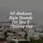 40 Ambient Rain Sounds for Spa & Chilling Out