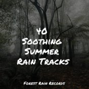 40 Soothing Summer Rain Tracks