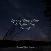 Spring Deep Sleep & Relaxation Sounds
