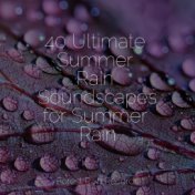 40 Ultimate Summer Rain Soundscapes for Summer Rain