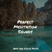Perfect Meditation Sounds