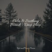 Calm & Soothing Sounds | Deep Sleep