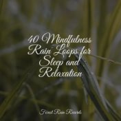 40 Mindfulness Rain Loops for Sleep and Relaxation