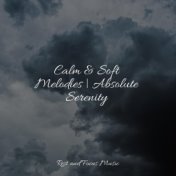 Calm & Soft Melodies | Absolute Serenity