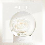 THE BOYZ Special Single 'White'