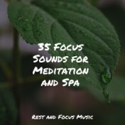 35 Focus Sounds for Meditation and Spa