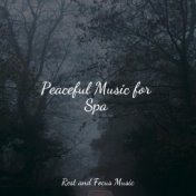 Peaceful Music for Spa