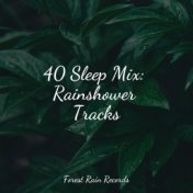 40 Sleep Mix: Rainshower Tracks