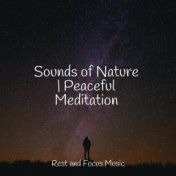 Sounds of Nature | Peaceful Meditation