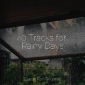 40 Tracks for Rainy Days