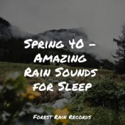 Spring 40 - Amazing Rain Sounds for Sleep
