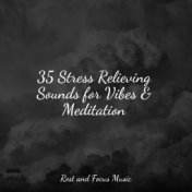 35 Stress Relieving Sounds for Vibes & Meditation
