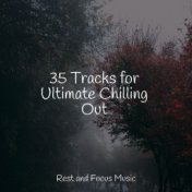 35 Tracks for Ultimate Chilling Out