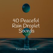 40 Peaceful Rain Droplet Sounds