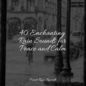 40 Enchanting Rain Sounds for Peace and Calm