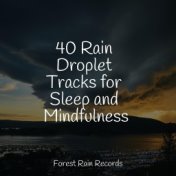 40 Rain Droplet Tracks for Sleep and Mindfulness