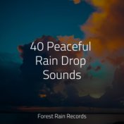 40 Peaceful Rain Drop Sounds
