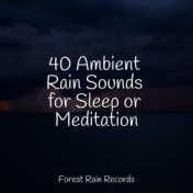 40 Ambient Rain Sounds for Sleep or Meditation