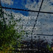 40 Serene Rain Sounds for Focus and Spa