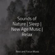 Sounds of Nature | Sleep | New Age Music | Relax