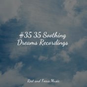 #35 35 Soothing Dreams Recordings