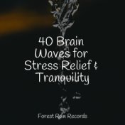40 Brain Waves for Stress Relief & Tranquility