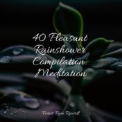 40 Pleasant Rainshower Compilation: Meditation