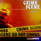 Crime Scene, Set 30