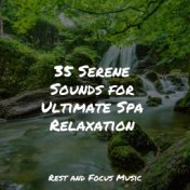 35 Serene Sounds for Ultimate Spa Relaxation