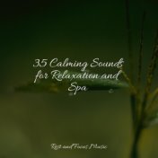 35 Calming Sounds for Relaxation and Spa
