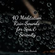 40 Meditation Rain Sounds for Spa & Serenity