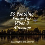 50 Soothing Songs for Vibes & Massage