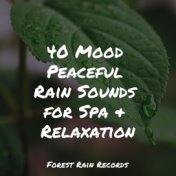 40 Mood Peaceful Rain Sounds for Spa & Relaxation