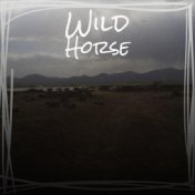 Wild Horse