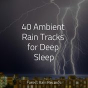 40 Ambient Rain Tracks for Deep Sleep