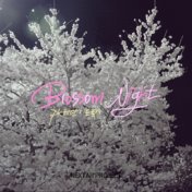 Blossom, Night