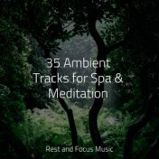 35 Ambient Tracks for Spa & Meditation