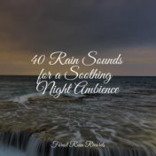 40 Rain Sounds for a Soothing Night Ambience