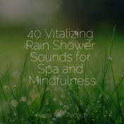40 Vitalizing Rain Shower Sounds for Spa and Mindfulness