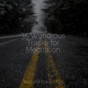 35 Wondrous Tracks for Meditation