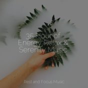 35 Hour of Energy Relax & Serenity Music