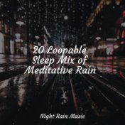 20 Loopable Sleep Mix of Meditative Rain