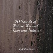 20 Sounds of Nature: Natural Rain and Nature