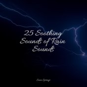 25 Soothing Sounds of Rain Sounds