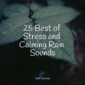 25 Best of Stress and Calming Rain Sounds